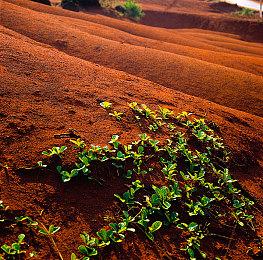 Steam好评如潮解谜游戏《无尽旅图》手机版3月29日发售，首发价打骨折